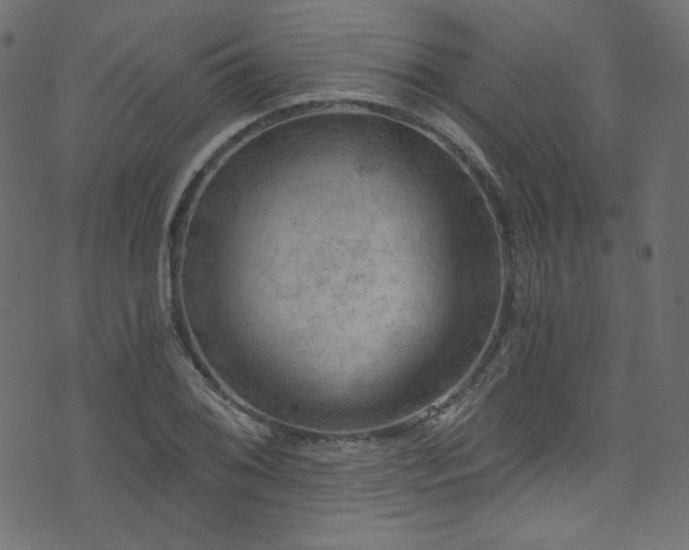 X0000074341076200608251345