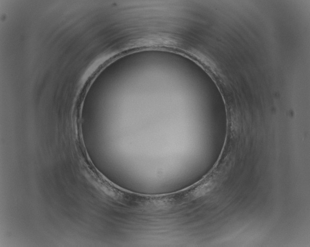 X0000074341078200608251345