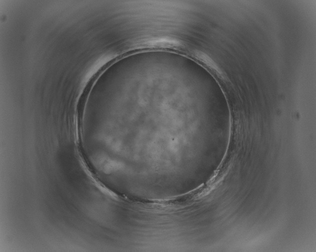 X0000074341079200608251345