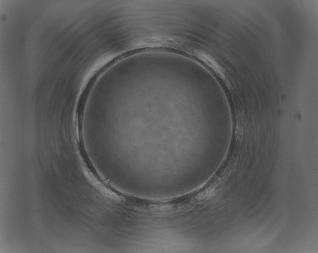 X0000074341080200608251345