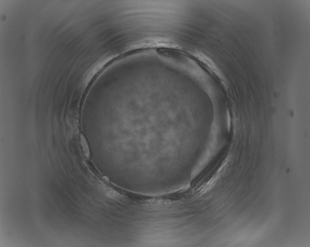 X0000074341081200608251345