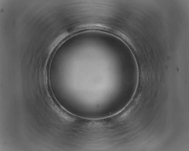 X0000074341082200608251345