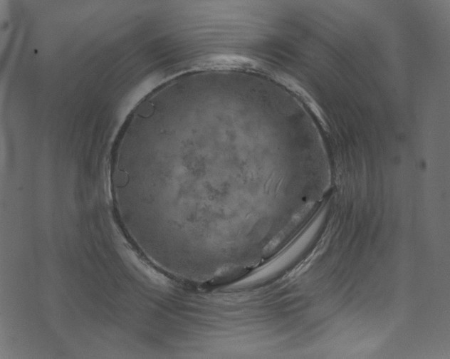 X0000074341083200608251345