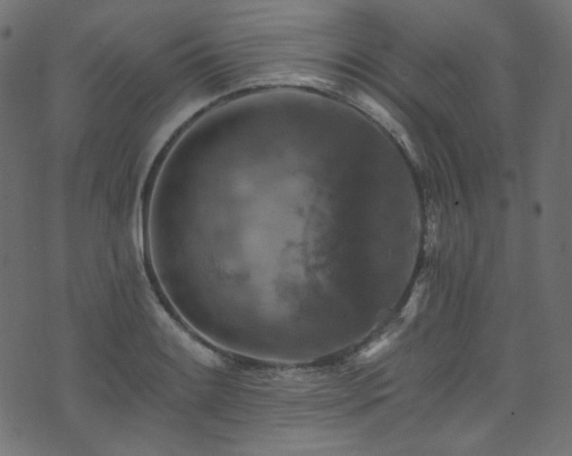 X0000074341084200608251345