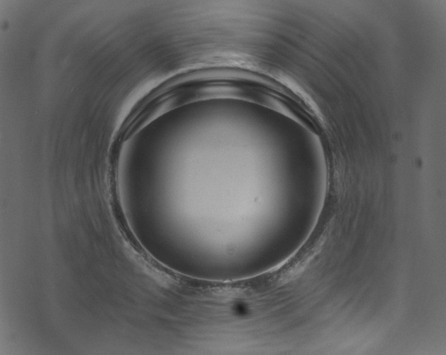 X0000074341085200608251345