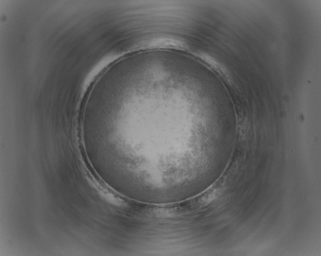 X0000074341086200608251345