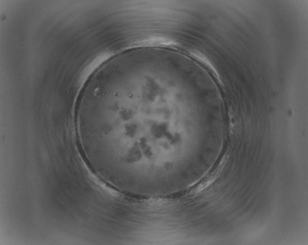 X0000074341087200608251345