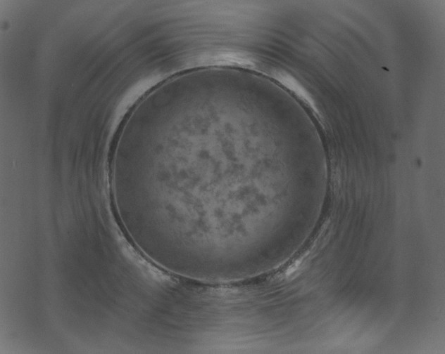 X0000074341088200608251345