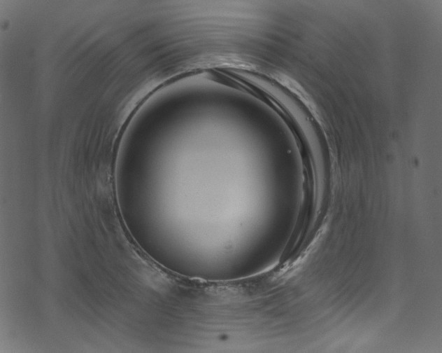 X0000074341089200608251345