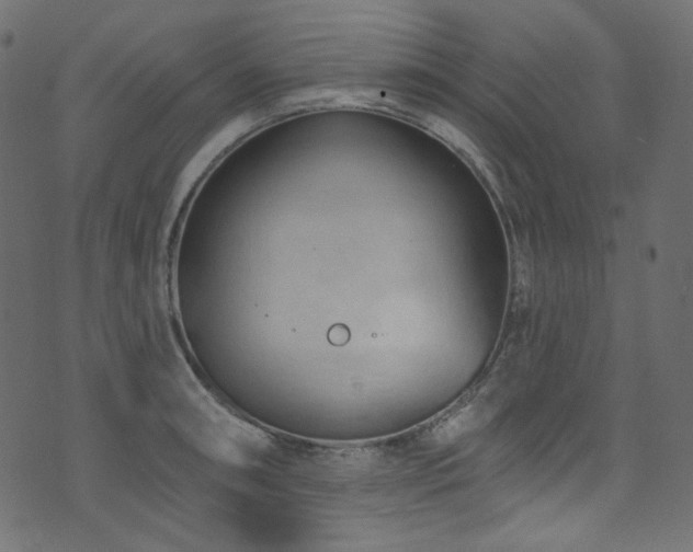 X0000074341090200608251345