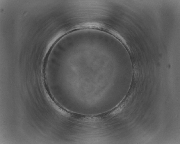 X0000074341091200608251345