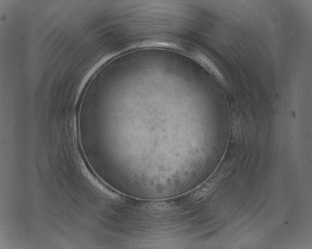 X0000074341092200608251345