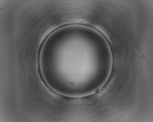 X0000074341093200608251345