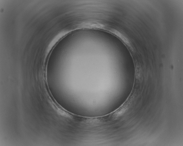 X0000074341094200608251345