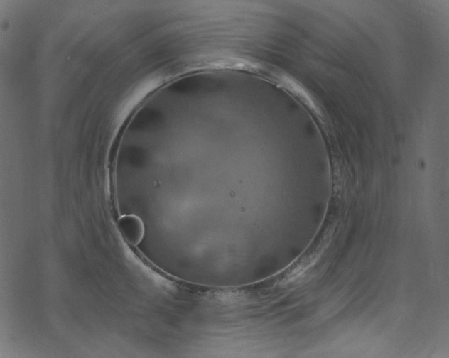 X0000074341095200608251345