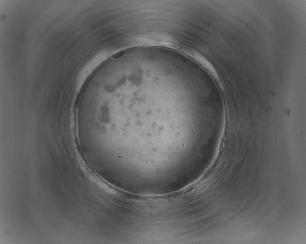 X0000074341096200608251345