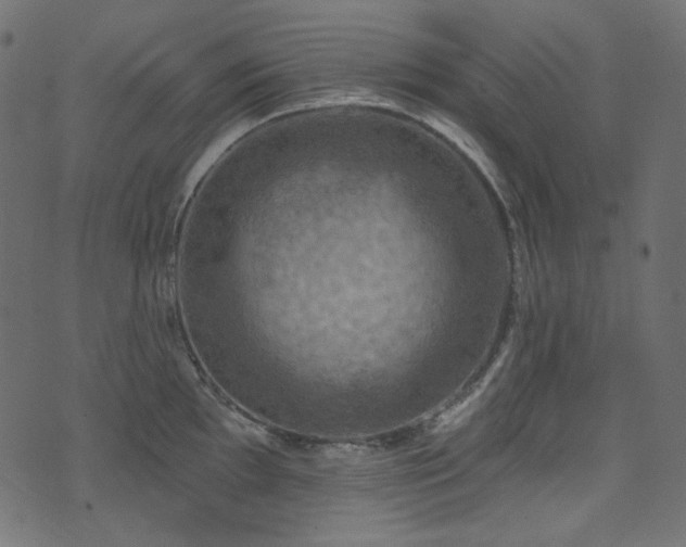 X0000074341097200608251345