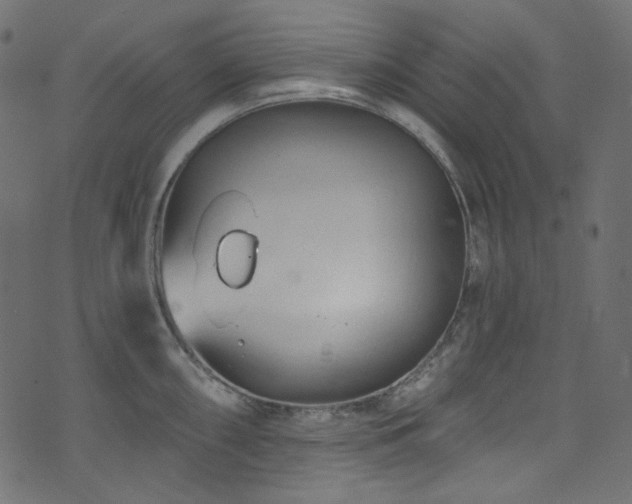 X0000074341098200608251345