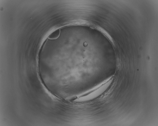 X0000074341099200608251345