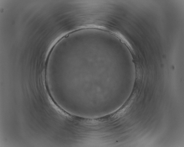 X0000074341100200608251344