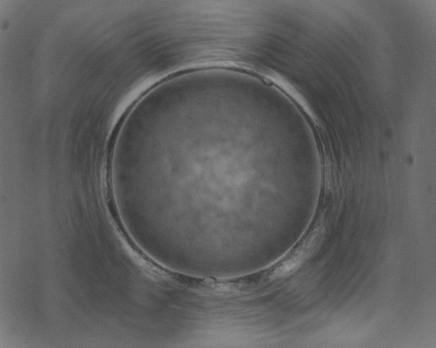 X0000074341101200608251344