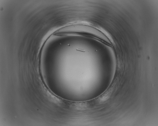 X0000074341102200608251344