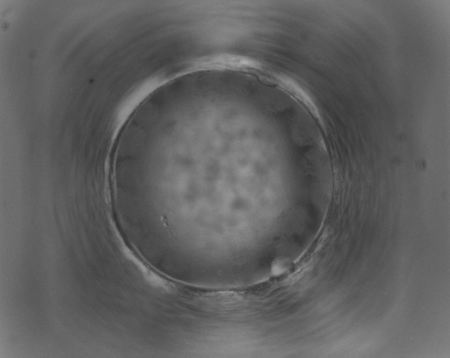 X0000074341103200608251344