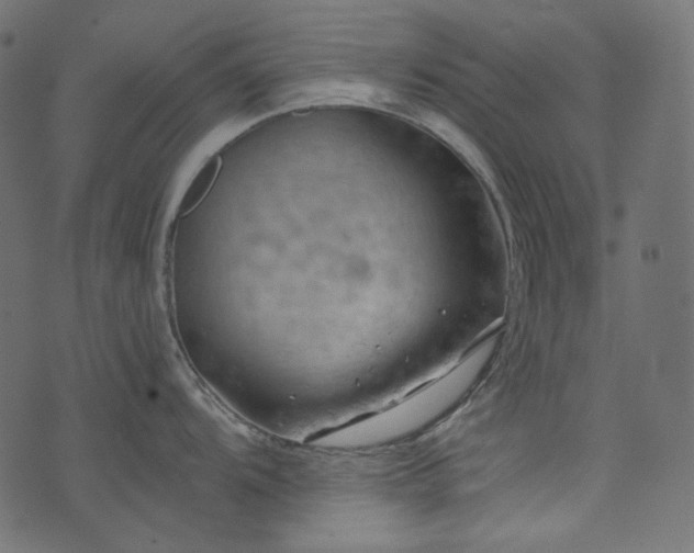 X0000074341104200608251344