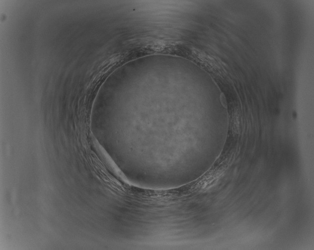 X0000074341105200608251344