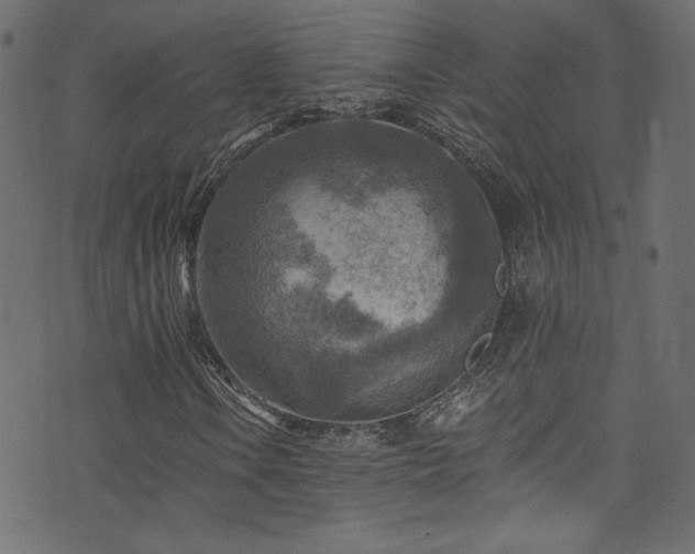 X0000074341106200608251344