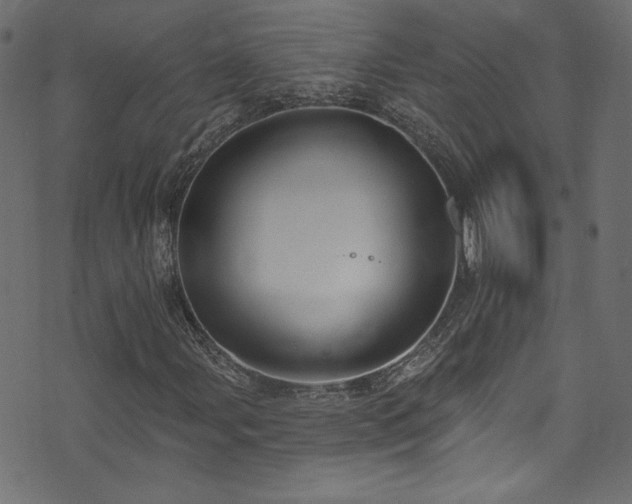 X0000074341107200608251344