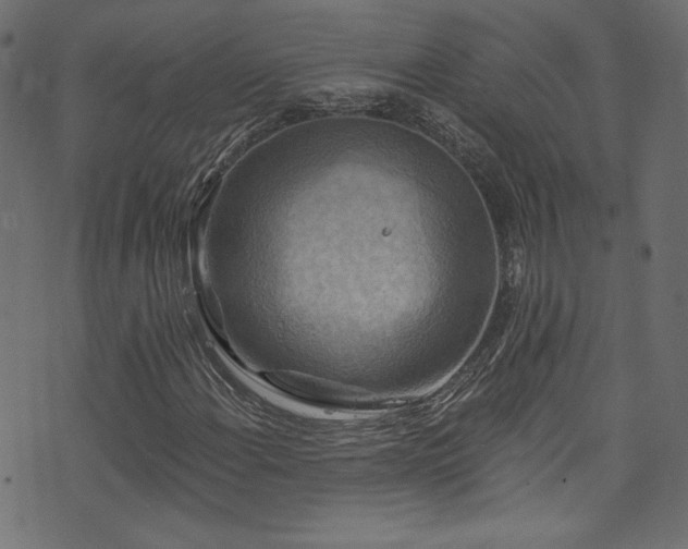 X0000074341108200608251344