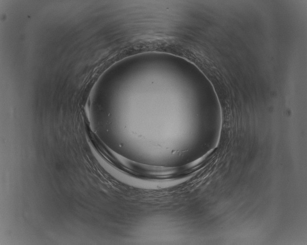 X0000074341109200608251344