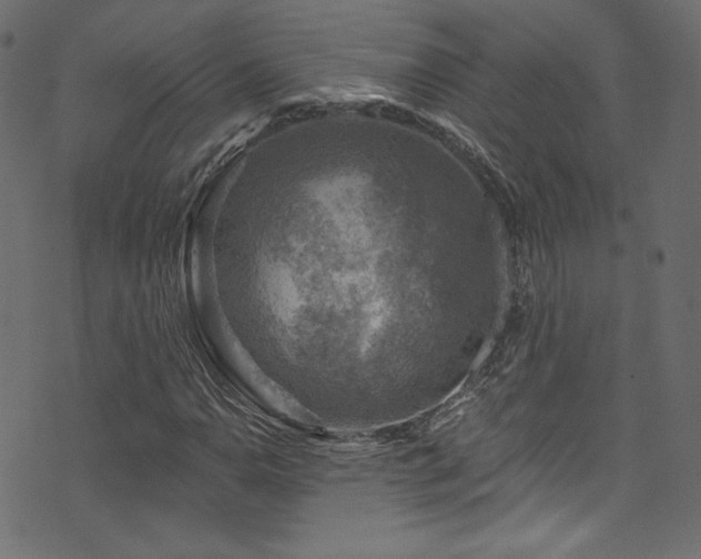 X0000074341110200608251344