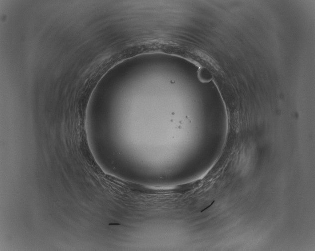 X0000074341111200608251344