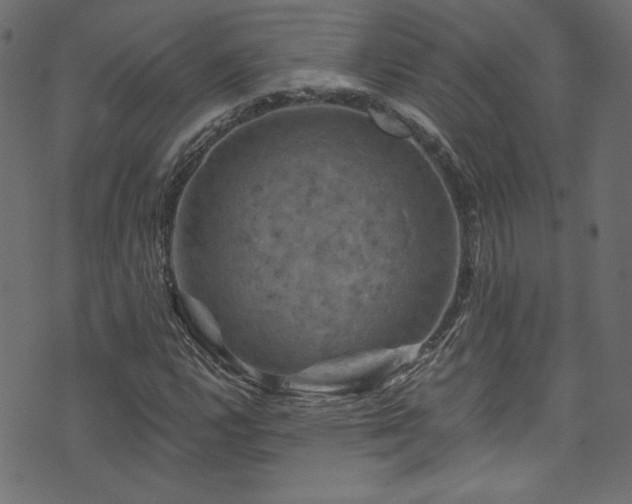 X0000074341112200608251344