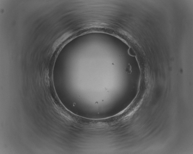 X0000074341113200608251344