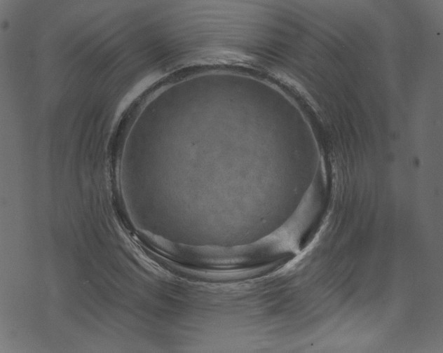 X0000074341114200608251344