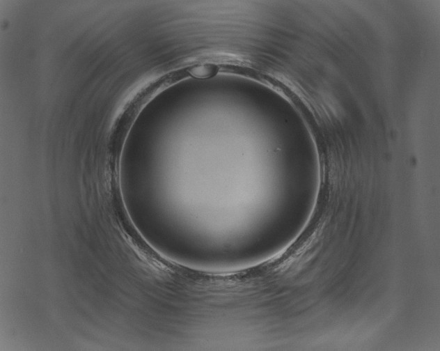 X0000074341115200608251344