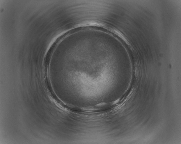 X0000074341116200608251344