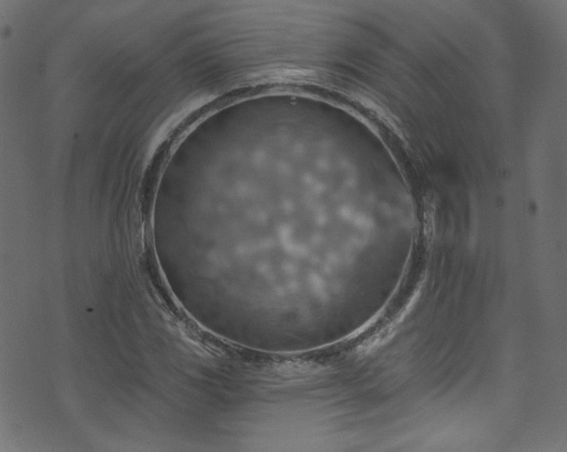 X0000074341117200608251344