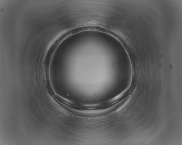 X0000074341118200608251344