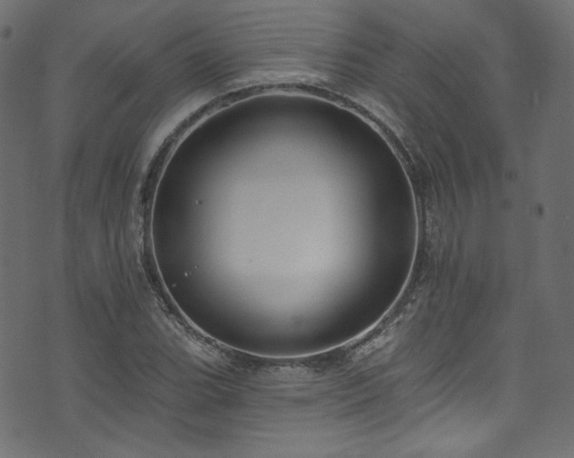 X0000074341119200608251344