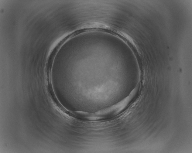 X0000074341120200608251344