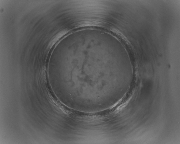 X0000074341121200608251344