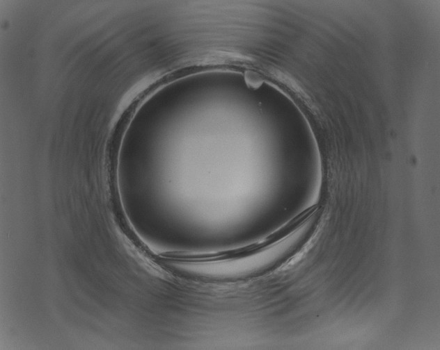 X0000074341122200608251344