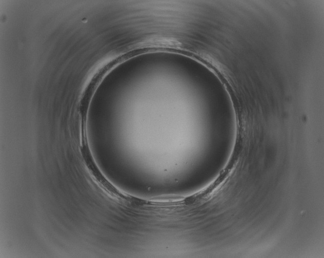 X0000074341123200608251344