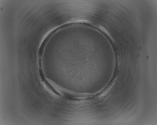 X0000074341124200608251344