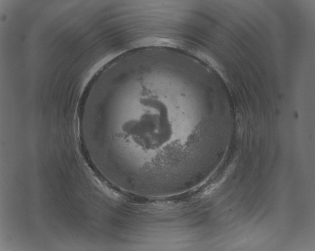 X0000074341125200608251344