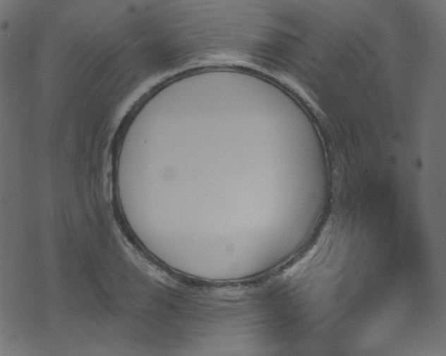 X0000074341126200608251344